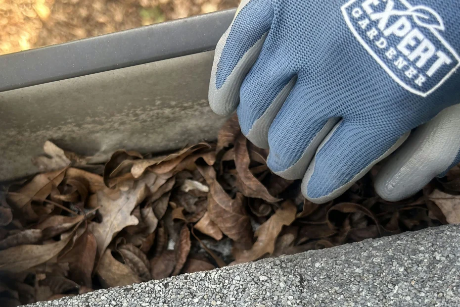 Gutter Cleaning Winnsboro