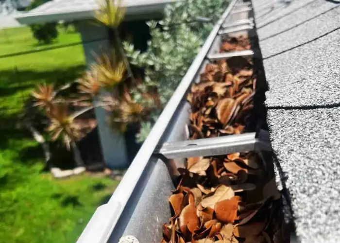 Gutter Cleaning Winnsboro home page